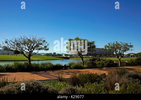 Le Point Vert Parc Urbain & Biodiversité Jardin avec Cape Town Stadium dans l'arrière-plan, Le Cap, Afrique du Sud. Banque D'Images