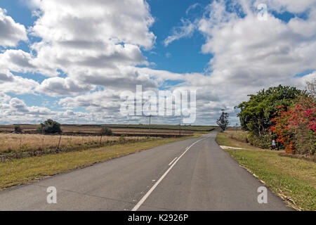 Vide rural route asphaltée qui traverse les champs de canne à sucre contre blue cloudy sky au KwaZulu-Natal en Afrique du Sud Banque D'Images