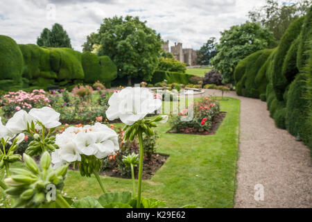 Les jardins colorés à Raby Castle,Staindrop,Co.Durham, Angleterre, Royaume-Uni Banque D'Images