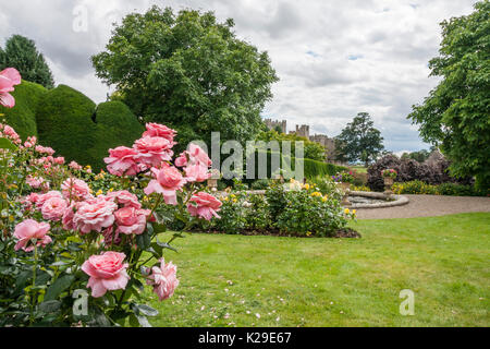 Les jardins colorés à Raby Castle,Staindrop,Co.Durham, Angleterre, Royaume-Uni Banque D'Images