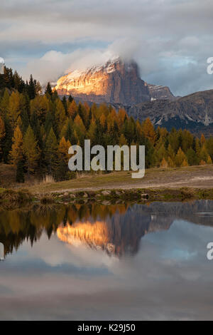 Laste Alm, Dolomites, Rocca Pietore, Padova, Veneto, Italie. Banque D'Images