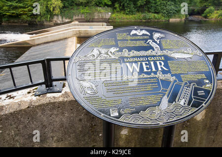 Un déversoir avec une échelle à poissons sur la Rivière Tees à Barnard Castle, comté de Durham, Royaume-Uni. Banque D'Images