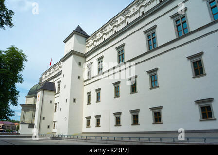 Palais des Grands Ducs de Lituanie, Katedros aikste, Place de la Cathédrale, Vilnius, Lituanie Banque D'Images