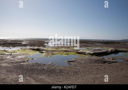 La plage de Troon sur une calme lumineux le printemps de l'Ayrshire en Écosse Banque D'Images