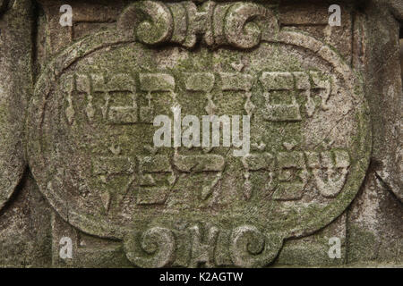 Cartouche de la pierre tombale d'Hendl Bassevi à l'ancien cimetière juif (Nový židovský hřbitov) dans le quartier juif de Prague, en République tchèque. Hendl Geronim Bassevi qui meurt le 5 juillet 1628 a été la deuxième épouse de financier juif Jacob Bassevi von Treuenberg (1570 - 1634). Banque D'Images