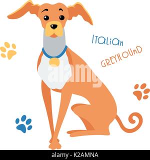 Dessin vectoriel de lévier italien funny dog sitting Illustration de Vecteur