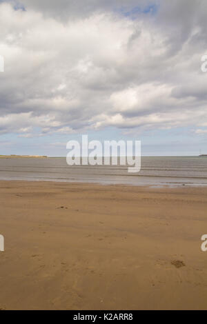 Teesmouth National Nature Reserve Banque D'Images