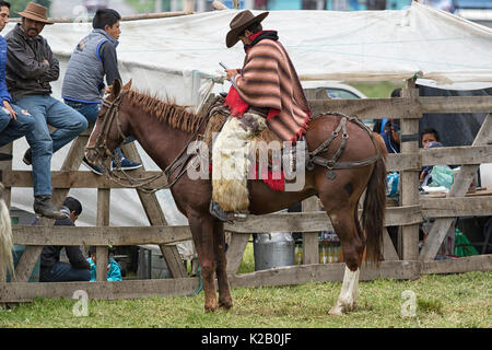 3 juin 2017, l'Équateur Machachi : cowboy habillé traditionlly contrôler son téléphone à cheval Banque D'Images