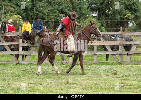 3 juin 2017, l'Équateur Machachi : cowboy habillé traditionnellement vérifie son lasso à cheval Banque D'Images