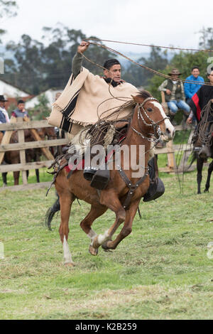 3 juin 2017, l'Équateur Machachi : cowboy appelé 'chagra' dans les Andes à cheval tout en maintenant un lasso Banque D'Images