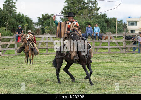 3 juin 2017, l'Équateur Machachi : cowboy appelé 'chagra' dans les Andes à cheval tout en maintenant un lasso Banque D'Images