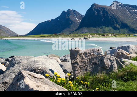 À côté de la plage de sable de Skagsanden rochers au-dessous de la montagne en été. Flakstad, Flakstadøya Island, îles Lofoten, Nordland, Norvège, Scandinavie Banque D'Images