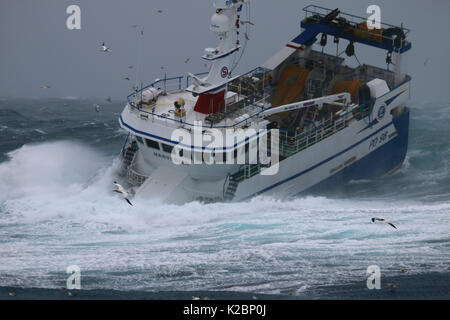 Bateau de pêche '' aux prises dans une tempête sur la mer du Nord, février 2016. Parution de la propriété. Banque D'Images