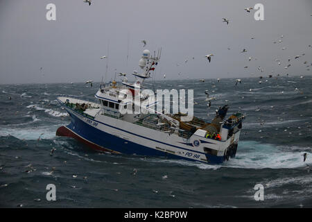 Bateau de pêche '' aux prises dans une tempête sur la mer du Nord, février 2016. Parution de la propriété. Banque D'Images