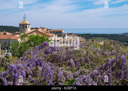 Vue panoramique sur le village provençal de Ramatuelle sur la côte d'Azur de glycine en fleur au printemps Banque D'Images