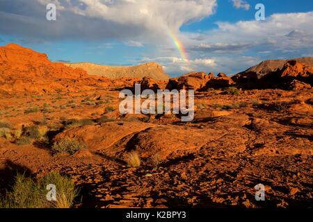 Le soleil se couche sur les stries de grès à la petite Finlande formation à la butte d'or National Monument le 28 septembre 2016 près de Mesquite, Nevada. Banque D'Images