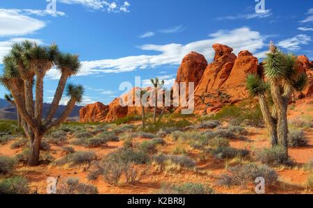 Le soleil se couche sur les stries de grès à la petite Finlande formation à la butte d'or National Monument le 28 septembre 2016 près de Mesquite, Nevada. Banque D'Images