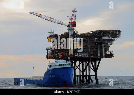 Navire d'approvisionnement "Faucon, déchargeant sa cargaison à la plate-forme des années 40, l'Echo de la mer du Nord, octobre 2014. Tous les non-usages de rédaction doivent être effacés individuellement. Banque D'Images