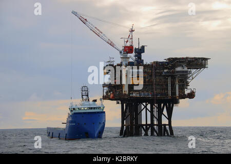 Navire d'approvisionnement "Faucon, déchargeant sa cargaison à la plate-forme des années 40, l'Echo de la mer du Nord, octobre 2014. Tous les non-usages de rédaction doivent être effacés individuellement. Banque D'Images