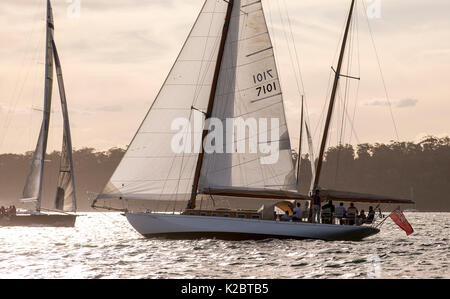 Location de la voile dans le port de Sydney, au crépuscule, en Nouvelle Galles du Sud, Australie, novembre 2012. Tous les non-usages de rédaction doivent être effacés individuellement. Banque D'Images