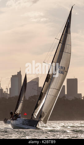 Yacht Racing au crépuscule dans le port de Sydney, Nouvelle Galles du Sud, Australie, novembre 2012. Tous les non-usages de rédaction doivent être effacés individuellement. Banque D'Images