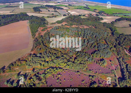 Vue aérienne de Kelling Heath Nature Reserve et de terres agricoles, Norfolk, Angleterre, Royaume-Uni, septembre 2009. Banque D'Images