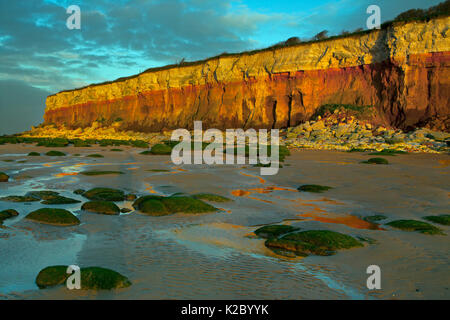 Hunstanton Cliffs à marée basse, West Norfolk, England, UK, décembre 2006. Banque D'Images