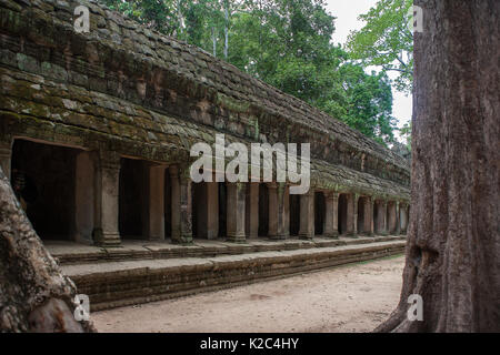 Galerie, cour intérieure, Ta Prohm, Angkor, Siem Reap, Cambodge Banque D'Images