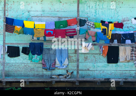 6 juin 2017 Jondachi, Équateur : le séchage des vêtements colorés sur le porche de maison faite de planches en bois dans la région amazonienne Banque D'Images