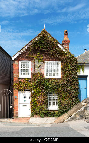 Une maison couverte de lierre accueil à st.ives, Cornwall, England, UK. Banque D'Images