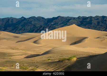 Dunes de sable Khongor, Govi Gurvan Saikhan Parc National, désert de Gobi, la Mongolie du Sud. Juin 2015. Banque D'Images