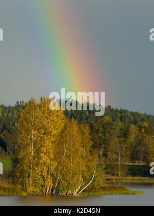 Arc-en-ciel sur les arbres en automne, Jyvaskyla, Finlande, septembre 2015. Banque D'Images