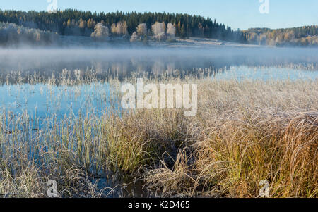 Misty Lake par un froid matin d'automne, Jyväskylä, Finlande centrale, octobre 2015. Banque D'Images