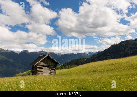 Grange à foin de prairie alpine. Nordtirol, Alpes autrichiennes, l'Autriche, juin. Banque D'Images