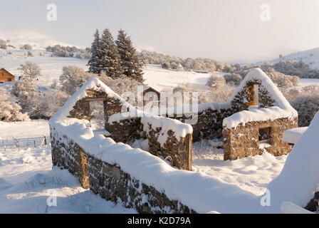 Paysage rural paysage avec ruines de croft couverte de neige épais sur une journée ensoleillée, Rogart Winters, Sutherland, Highlands, Scotland, UK Banque D'Images