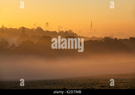 Paysage de Londres à l'aube avec le brouillard de Hampstead Heath, Londres, Angleterre, Royaume-Uni. Novembre 2014. Banque D'Images