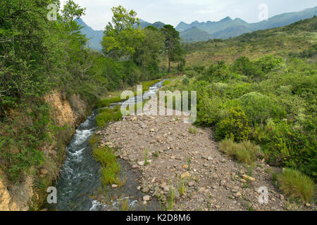 Cours d'eau près de Cathedral Peak, Drakensberg, Kwazulu-Natal, Afrique du Sud, janvier 2016. Banque D'Images