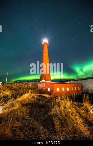 Northern Lights montrant au-dessus de Andenes Andenes, Phare, île Andoya, Océan Atlantique Nord, Norvège Janvier 2016 Banque D'Images