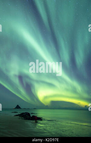 Northern Lights montrant au-dessus de plage près de Bleiksoya Bird Island près de Andenes, île Andoya, Nord de l'océan Atlantique, de la Norvège, janvier 2016 Banque D'Images