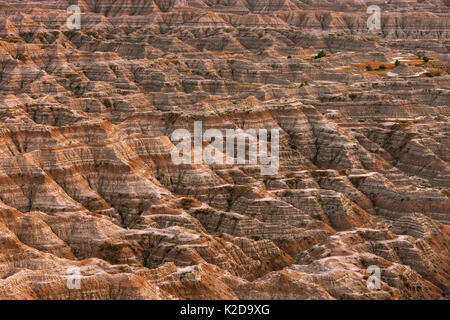 Paysage de grès érodées, stries et d'érosion, Badlands National Park, South Dakota, USA Septembre 2014. Banque D'Images