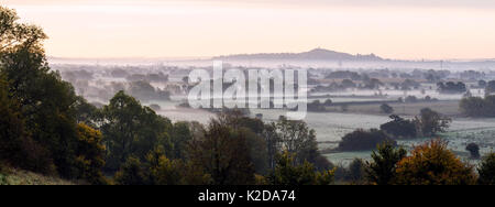 Brume matinale sur les terres basses, les niveaux de Somerset Glastonbury Tor en distance, Somerset, Royaume-Uni, Octobre 2015 Banque D'Images