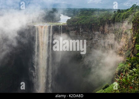 Kaieteur Falls est la plus grande cascade chute unique, situé sur le fleuve Potaro dans le parc national de Kaieteur, Ker, Guyana, en Amérique du Sud Banque D'Images