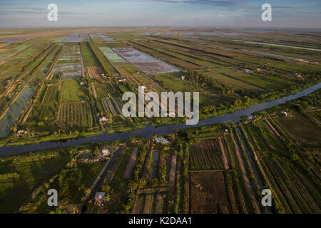 Vue aérienne de l'agriculture mixte est de champs d'Azur Conservancy, l'est de Georgetown, Guyana, en Amérique du Sud Banque D'Images