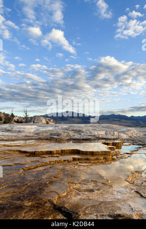 Lever du soleil à Mammoth Hot Springs dans le Parc National de Yellowstone, Wyoming, USA. Septembre 2015. Banque D'Images