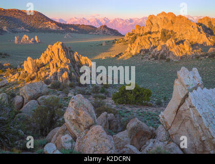 Montagnes d'Inyo armoise avec des vallées, des affleurements rocheux, Pinyon pines, Juniper arbres et une vue sur la Sierra Nevada, en Californie, USA, mai. Banque D'Images