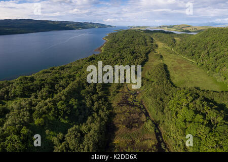 Vue aérienne surplombant Taynish National National Nature Reserve et à Loch Sween, Argyll and Bute, Ecosse, Royaume-Uni, juin 2016. Banque D'Images