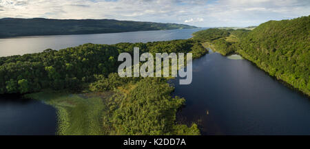 Vue aérienne surplombant Taynish National National Nature Reserve y compris Lochan Taynish et à Loch Sween, Argyll and Bute, Ecosse, Royaume-Uni, juin 2016. Banque D'Images