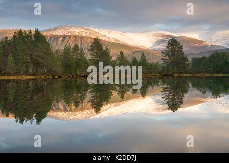 Uath Lochan dans lumière du soir, le Parc National de Cairngorms, en Écosse, au Royaume-Uni, en novembre 2013. Banque D'Images