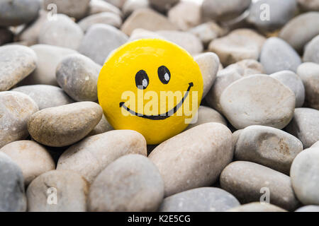 Smiley Face en pierre, peint en jaune, rire, se trouve entre les pierres Banque D'Images