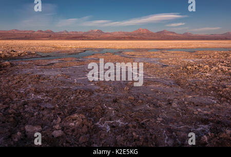 Laguna Chaxa Lagoon dans le lac de sel Salar de Atacama, derrière les volcans des Andes, Soncor, réserve nationale Los Flamencos Banque D'Images